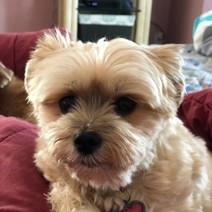 Meet your Posher, Jenny